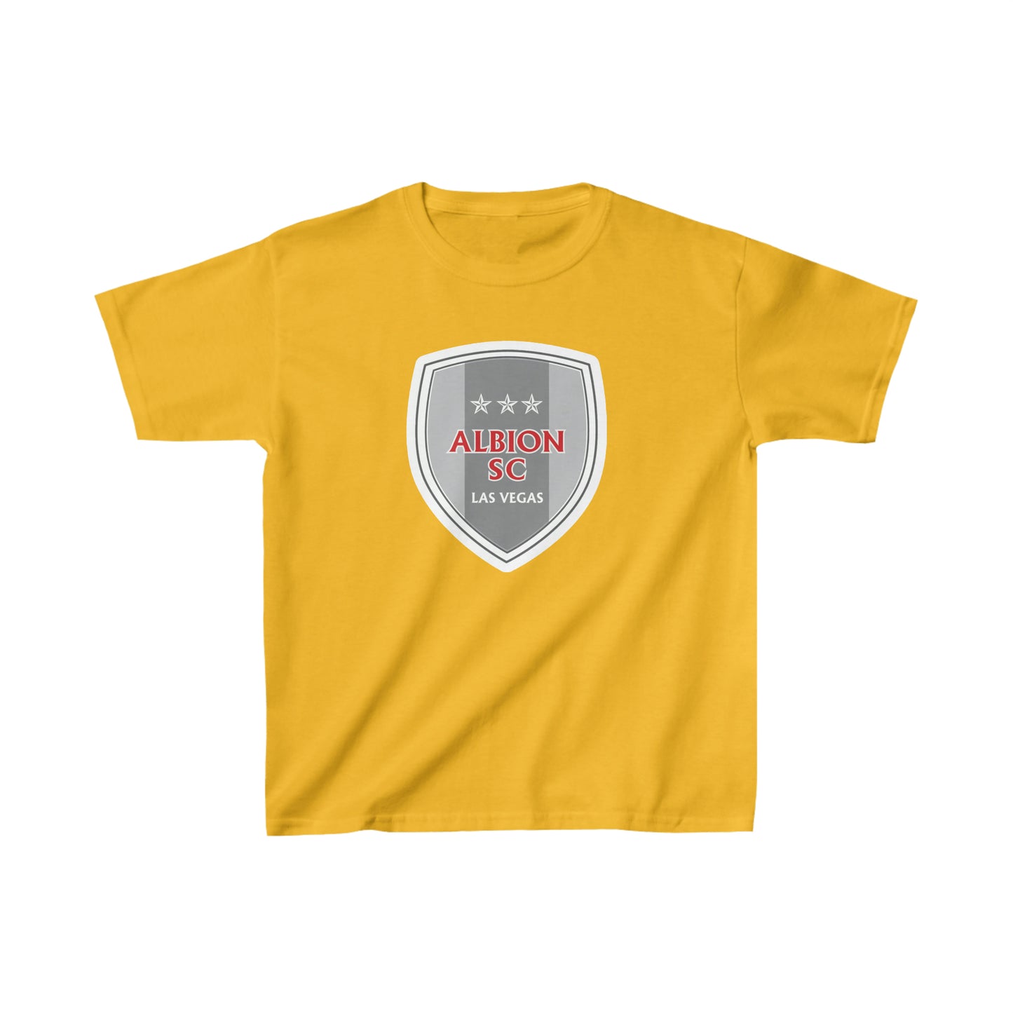 Albion LV Shield Lg- Kids Heavy Cotton™ Tee (ALB-LV-24-813K)